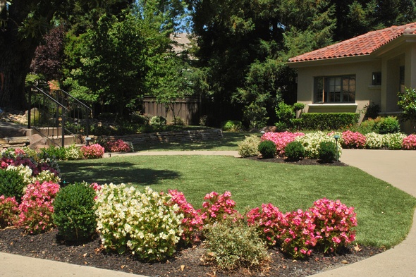 Naperville Artificial Turf Lansdscaping