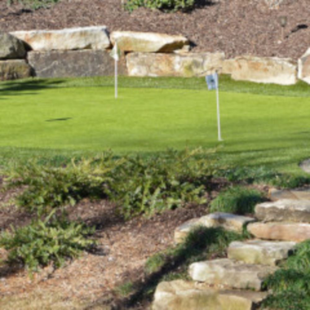 Top Trends For Naperville Backyard Golf Putting Greens